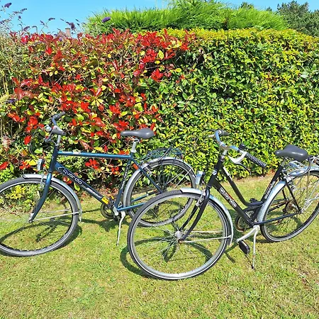 Hippodroom 6 * Bredene